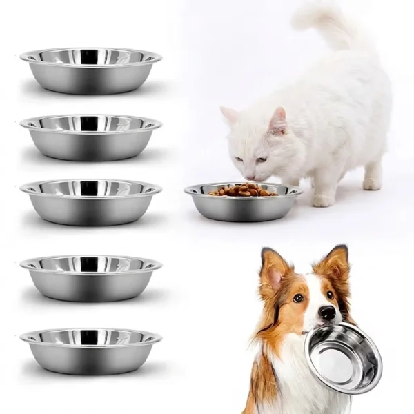 5-Pack Stainless Steel Cat Bowls with Non-Slip Base – Shallow Whisker-Friendly Food & Water Dishes