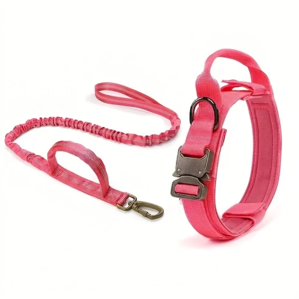 Dog Collar and Leash Set for Medium & Large Dogs – Heavy Duty Adjustable No-Pull Training Leash for Walking, Running & Outdoor Use