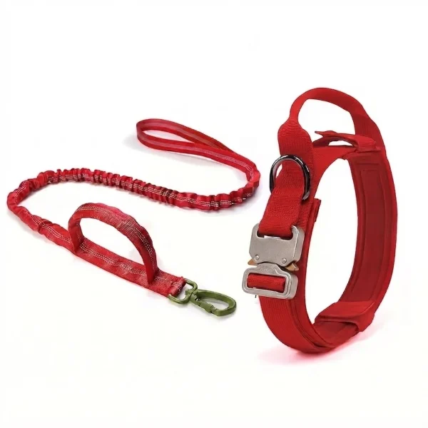 Dog Collar and Leash Set for Medium & Large Dogs – Heavy Duty Adjustable No-Pull Training Leash for Walking, Running & Outdoor Use