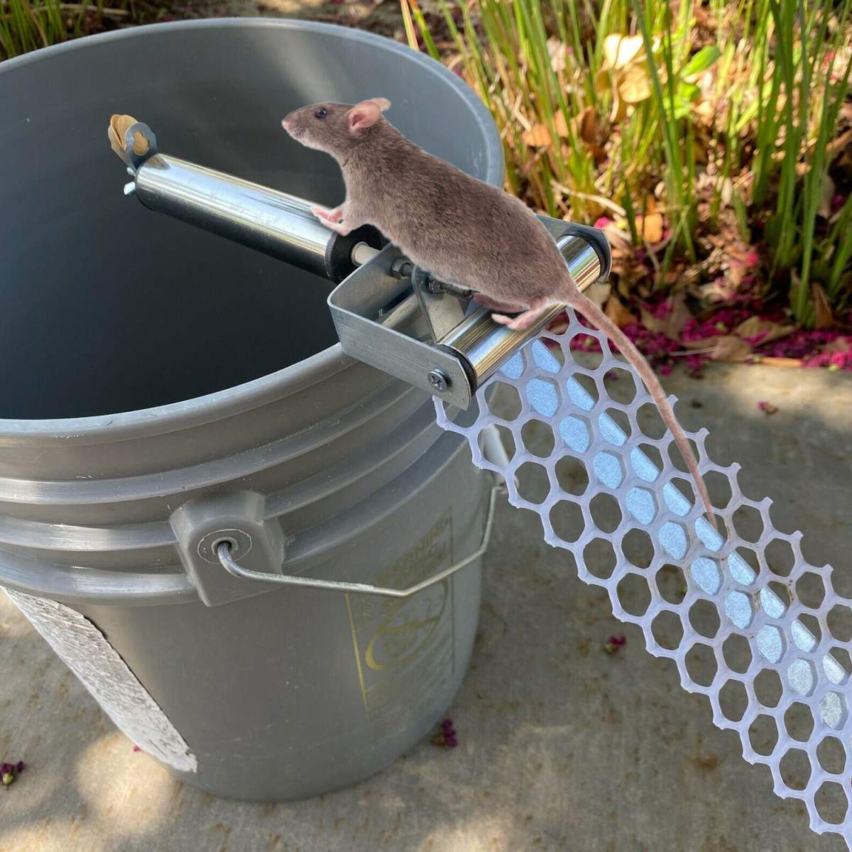 Rolling Mouse Trap With 19.69in Mesh Ramp, Humane Galvanized Metal Rat Trap, Reusable Catch Multiple Mice, Easy To Clean For Home Garage Warehouse Basement - Image 3