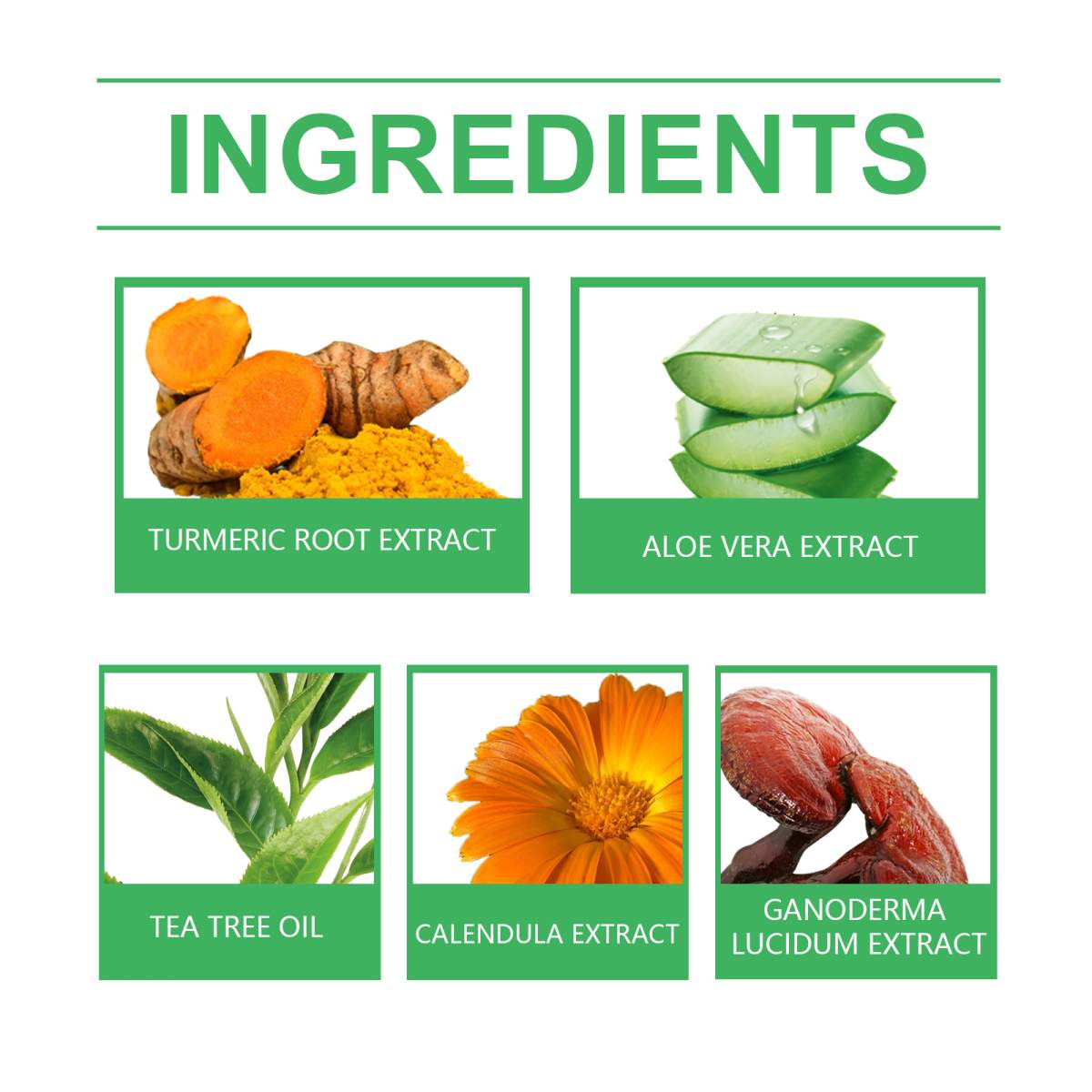 Pet Acne & Bumps Skin Cream, Soothing Skin For Dogs & Cats, Relief Redness Irritated Skin With Calendula & Ganoderma Extract - Image 5