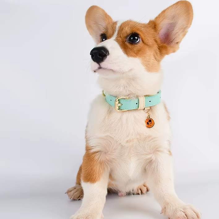 S M L Dog Collar, Leather Dog Collar, For Small, Medium, And Large Dogs, Basic Collar, Adjustable Pet Collar - Image 5