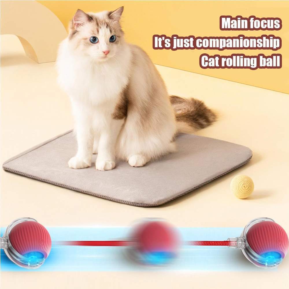 Electric Dog Cat Ball Toy,Indoor Large And Small Cat Dog Interactive Intelligent Rolling Pet Ball - Image 9