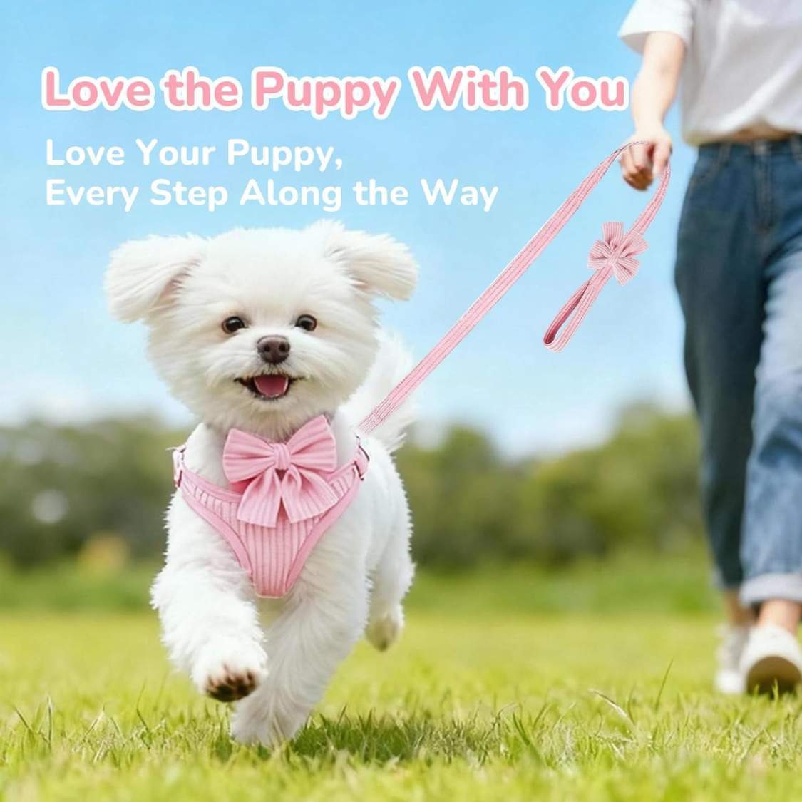 Small Dog Collar Harness And Leash Set, Dog Harness No Pull With Bowtie, Breathable Cotton Adjustable Pet Puppy - Image 5
