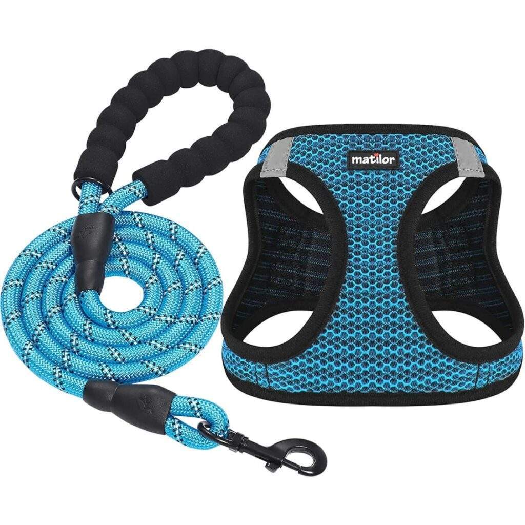 Breathable Puppy Cat Dog Vest Harnesses For Small Medium Dogs