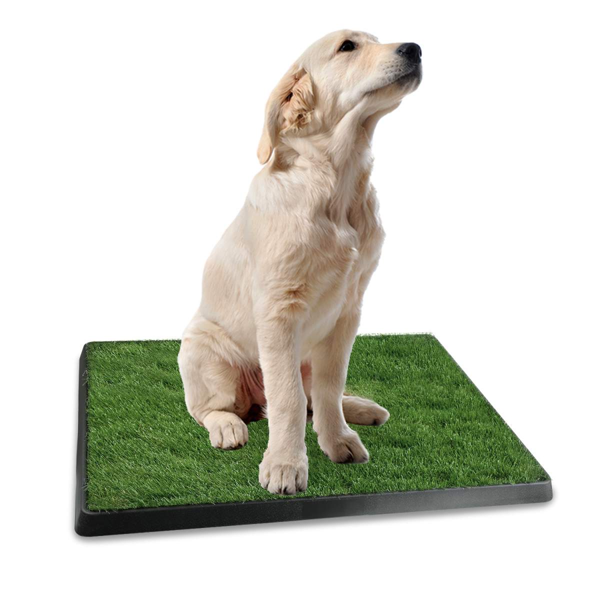 1Pc Dog Potty Training Artificial Grass Pad Pet Cat Toilet Trainer Mat Puppy Loo Tray Turf For Small Medium Dogs Indoor Outdoor Use - Image 3