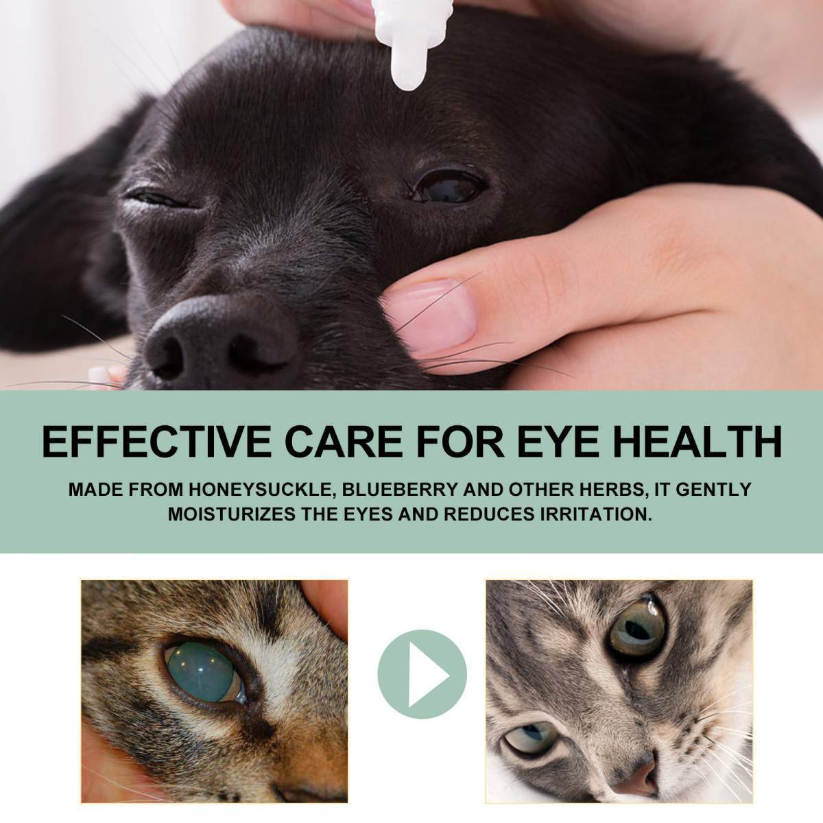 Pet Eye Drops For Dogs & Cats, Gentle Eye Cleaner With Honeysuckle Oil & Blueberry Extract, Soothes Irritation, Tear Stain Remover For Pet Daily Eye Care - Image 3