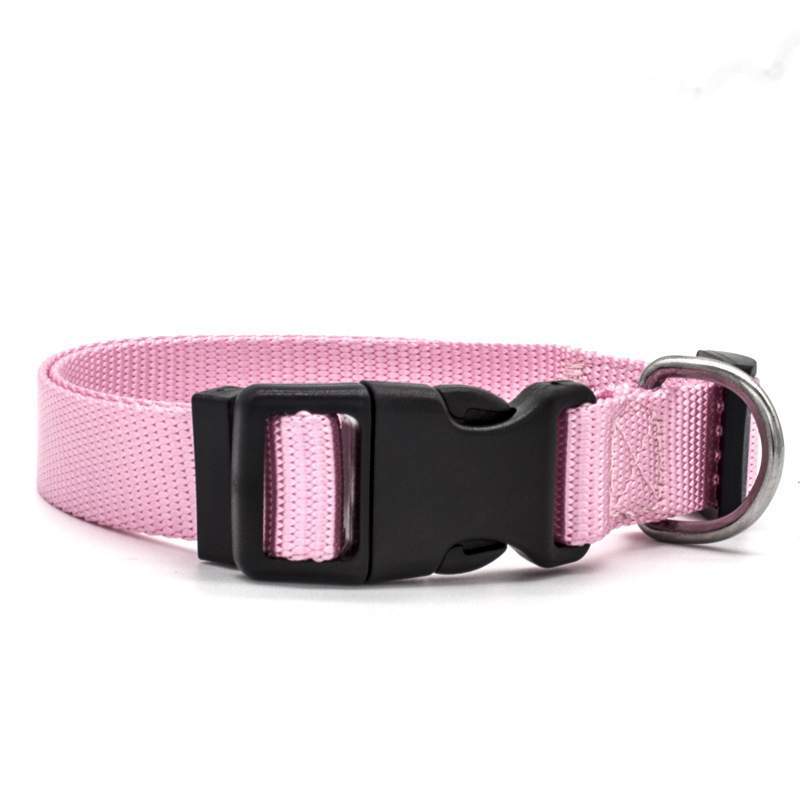 New Pet Collar - Image 2