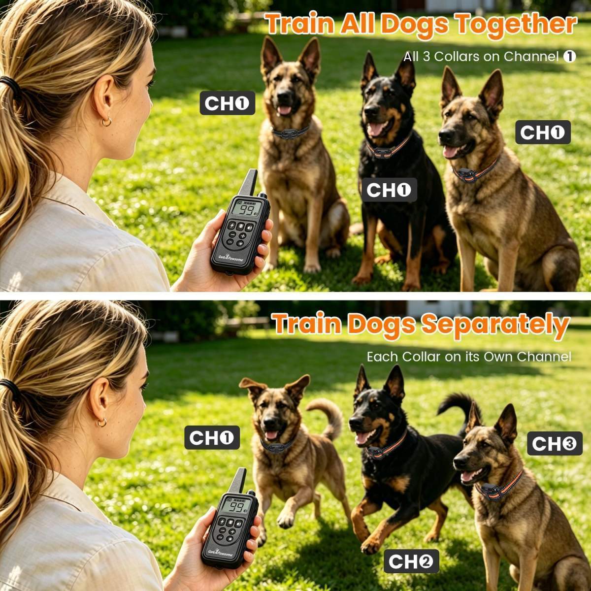 Dog Training Collar With Remote - Image 8