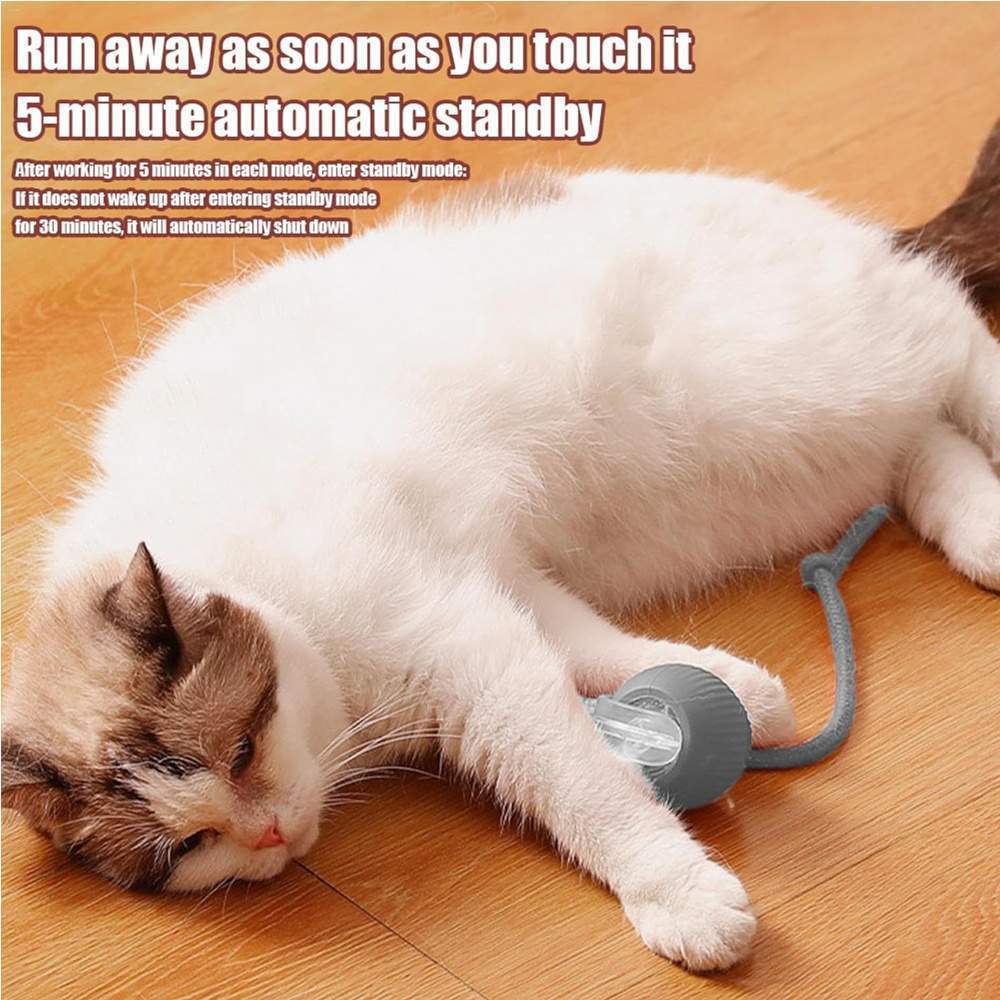 Electric Dog Cat Ball Toy,Indoor Large And Small Cat Dog Interactive Intelligent Rolling Pet Ball - Image 5
