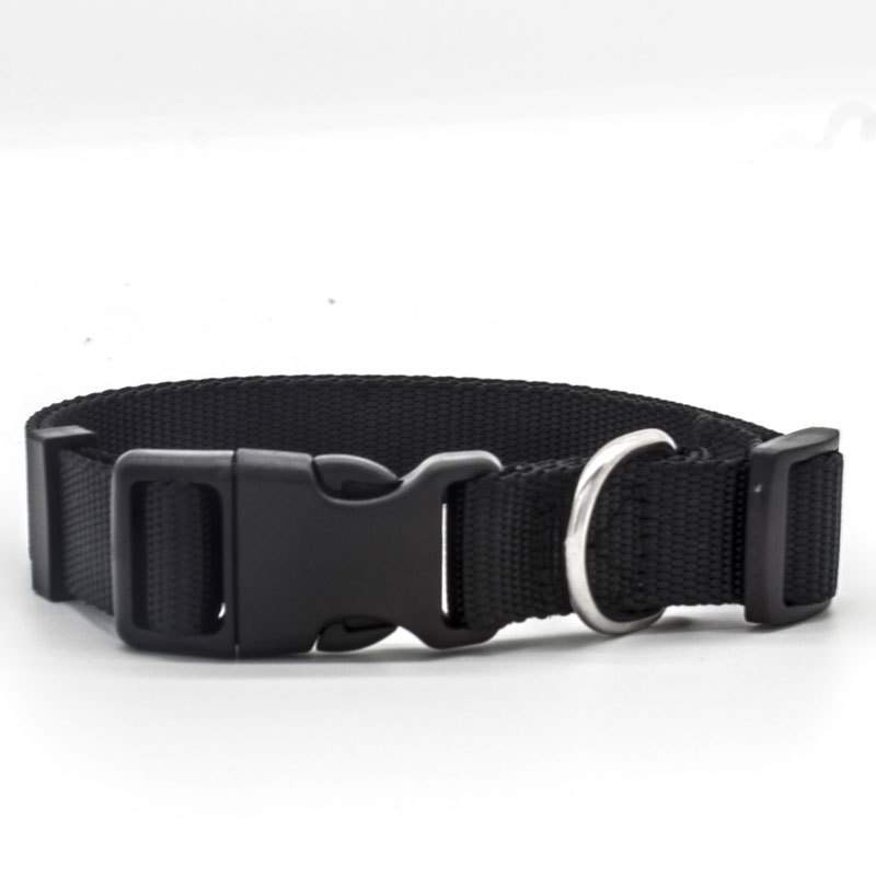 New Pet Collar - Image 3