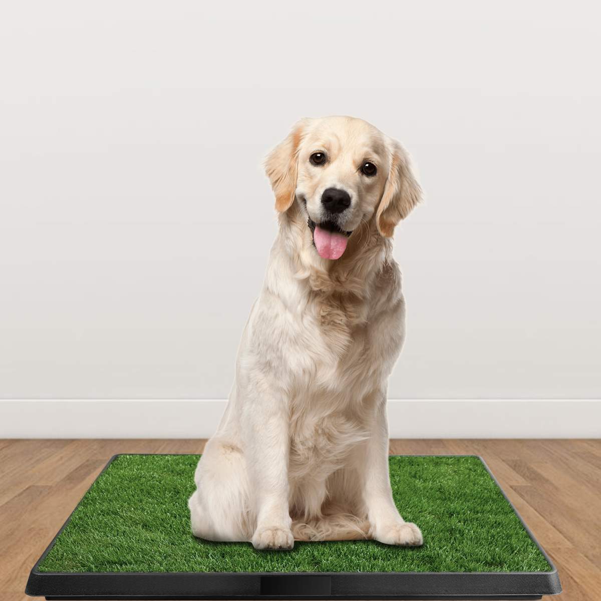 1Pc Dog Potty Training Artificial Grass Pad Pet Cat Toilet Trainer Mat Puppy Loo Tray Turf For Small Medium Dogs Indoor Outdoor Use - Image 7