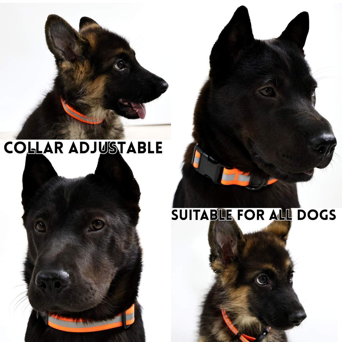 Reflective Leash Set It Can Reflect Light Sources Effectively Enhancing The Safety Of Pets During Outdoor Outings - Image 2