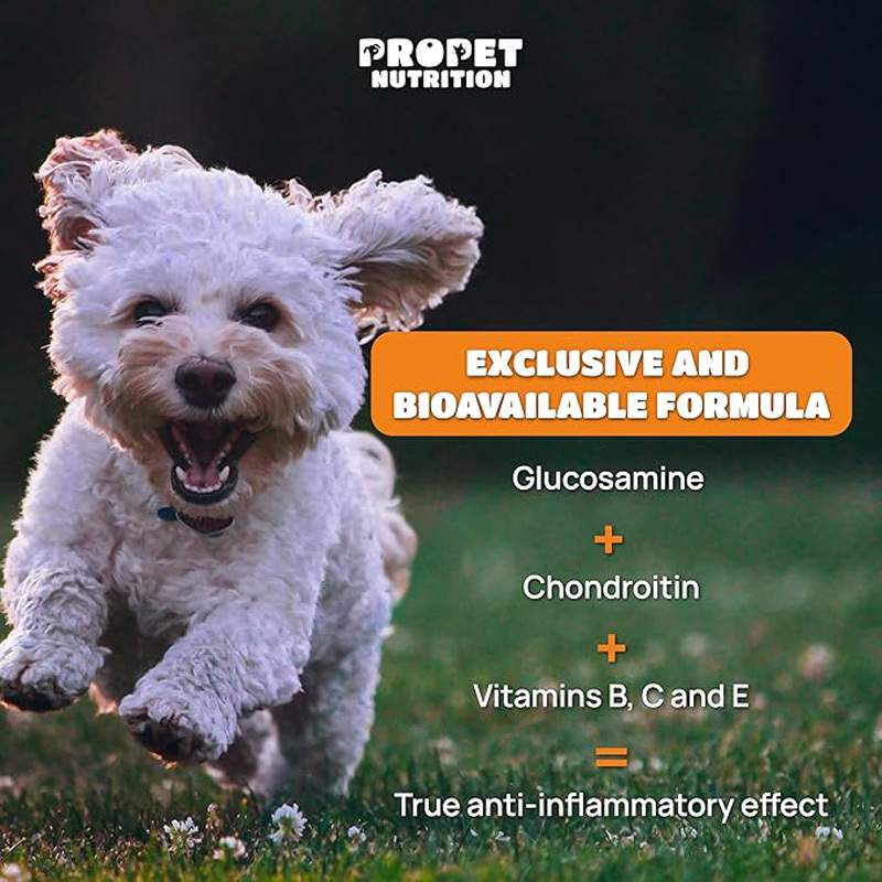 Joint Supplements For Dogs And Cats With Glucosamine, Chondroitin, 10 Vitamins, Hyaluronic Acid And MSM - Image 8