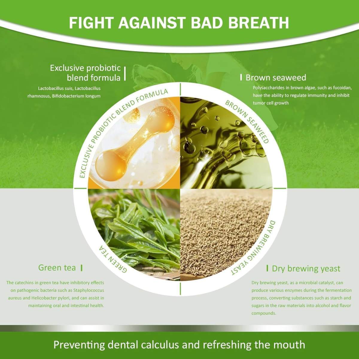 Pet Dental Powder - Freshens Breath, Protects Gums And Strengthens Teeth. An Essential For Daily Oral Care And General Dental Care. - Image 8