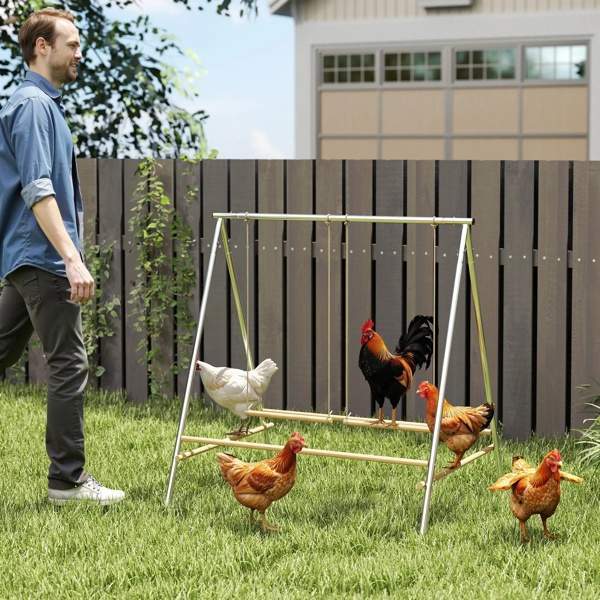 Chicken Perch