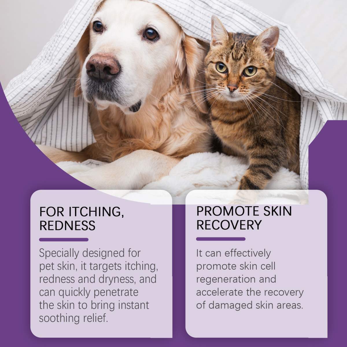 Pet Skin Soothing Cream, Skin Repair For Dogs & Cats, Soothe Itching Redness Dry Skin, Safe Gentle Skin Care For Pets 20g - Image 5