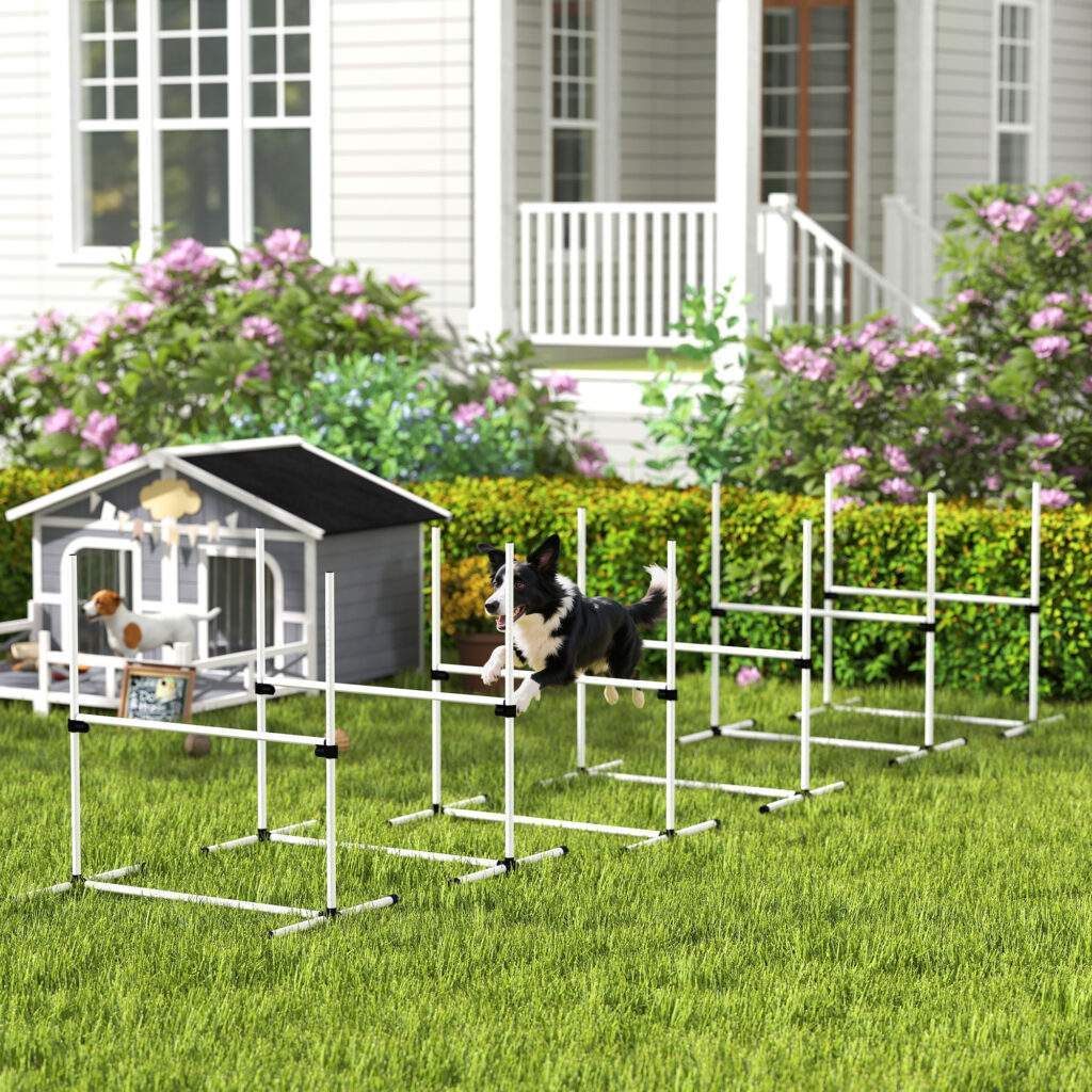 6 Piece Dog Agility Set with Adjustable Height Jump Bars, Carry Bag, Displacing Top Bar, White
