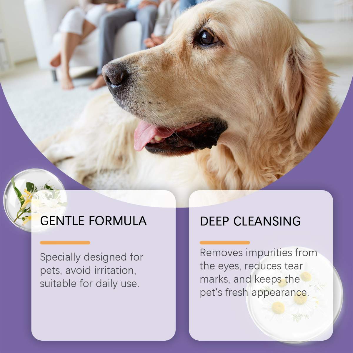 Pet Eye Rinse For Dogs & Cats, Gentle Eye Cleaner Solution With Hyaluronic Acid, Honeysuckle Extract & Taurine, Tear Stain Remover For Daily Eye Care, 30ml With Cotton Swabs - Image 5