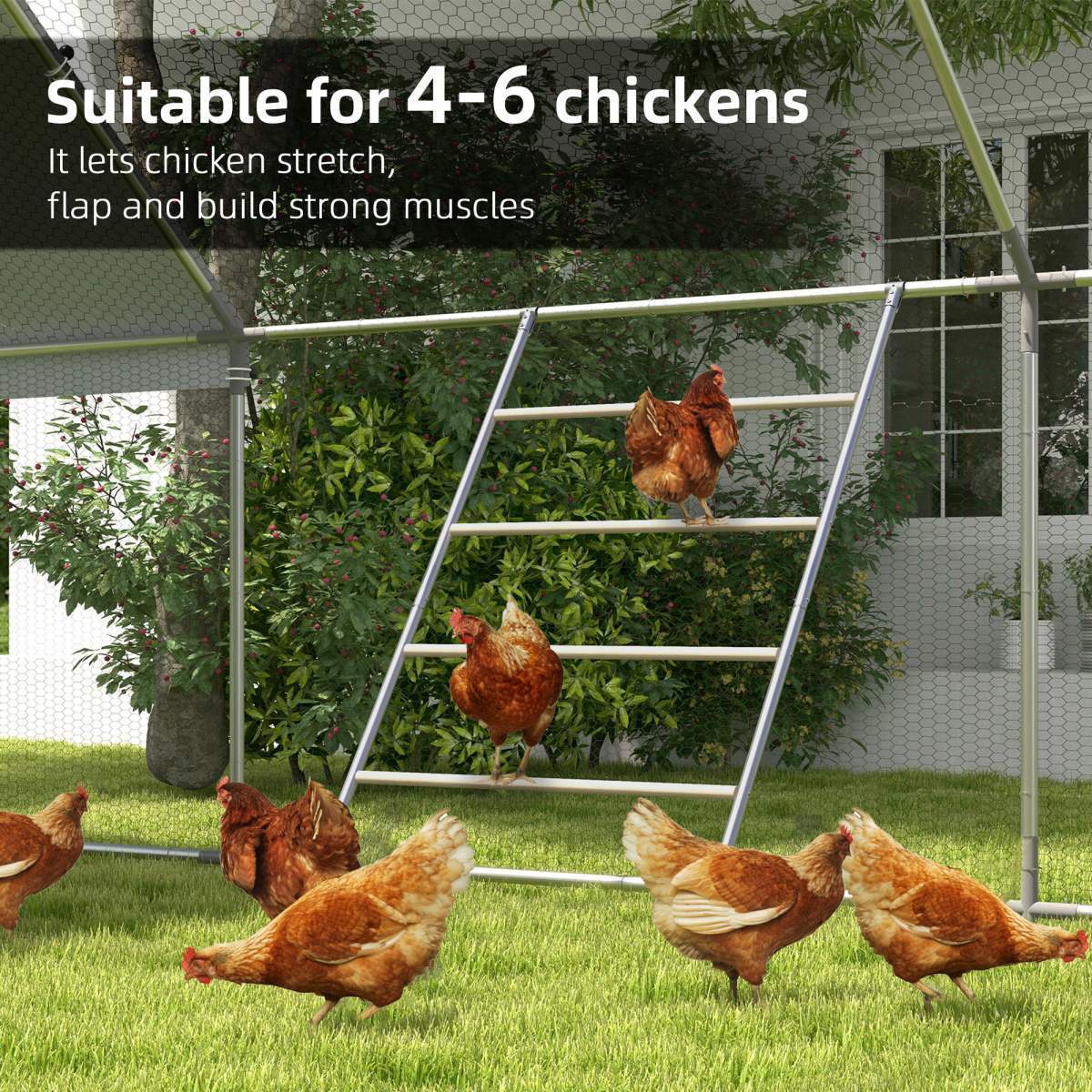 Chicken Roost For Coop, Jungle Gym Roosting Bar - Image 3