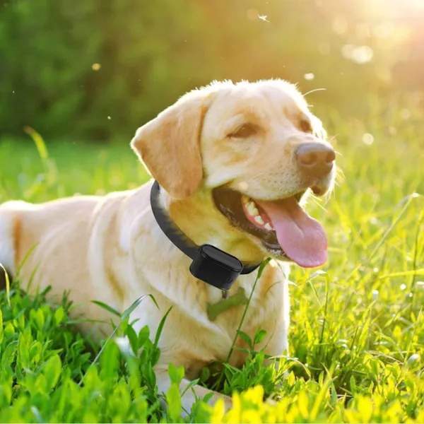 Electric Dog Fence System Pet Tone Shock Boundary Containment Water Resistant Collar Receiver For Small Medium Large Dog - Image 2