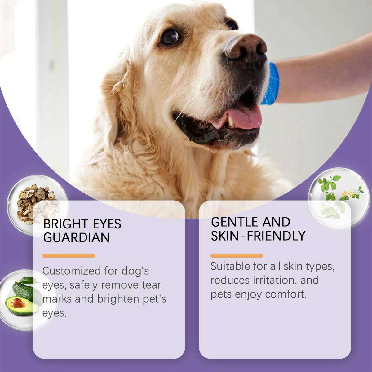 Dog Tear Stain Paste, Gentle Tear Stain Remover For Dogs With Honeysuckle, Sophora Flavescens & Coconut Oil, Soothing Eye Brightening Cream For All Dog Skin Types, 20g - Image 2