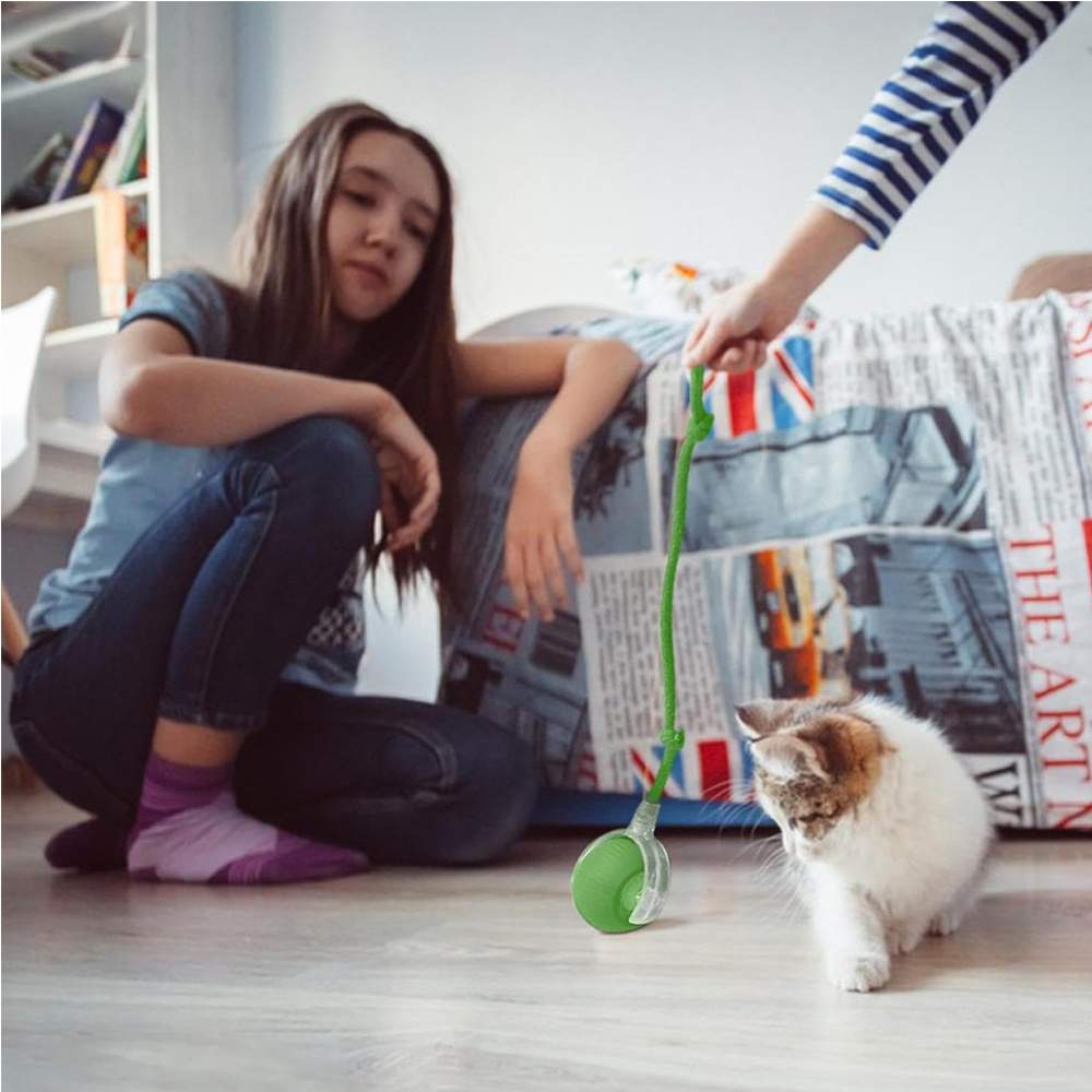 Electric Dog Cat Ball Toy,Indoor Large And Small Cat Dog Interactive Intelligent Rolling Pet Ball - Image 7