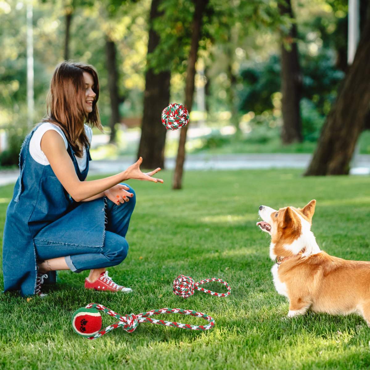 Set Of 5Pcs Christmas Dog Rope Chew Toys Dog Interactive Toys Set For Puppy Small Medium Aggressive Chewers Dogs Training Teething Playing - Image 4