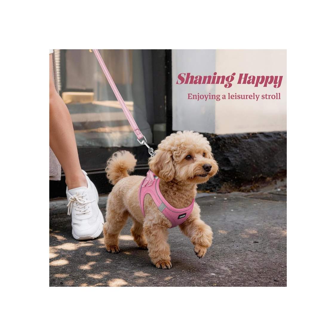 No Pull Dog Puppy Harness And Leash Set Reflective Mesh Vest - Image 3