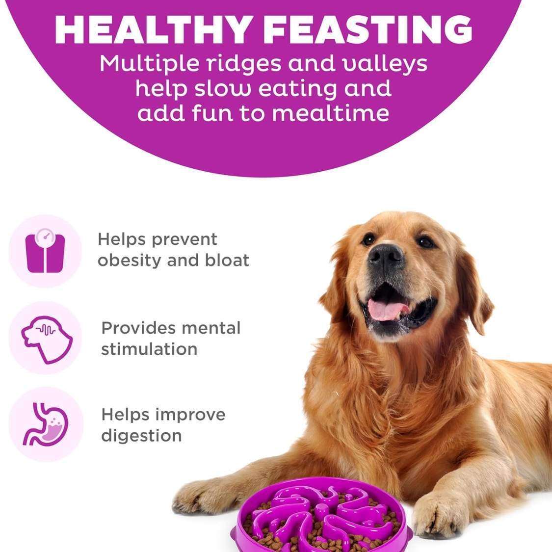 Hound Feeder Slow Bowl Large 4 Cup Capacity, Slow Feeding, Medium To Large Dogs, Non Slip, Purple, Flower Pattern - Image 3