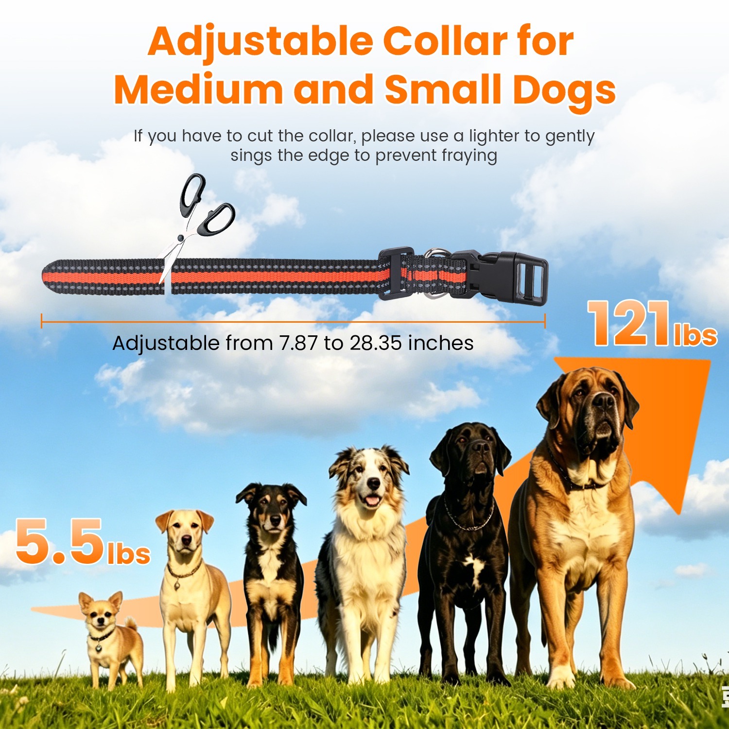 Dog Training Collar With Remote - Image 9