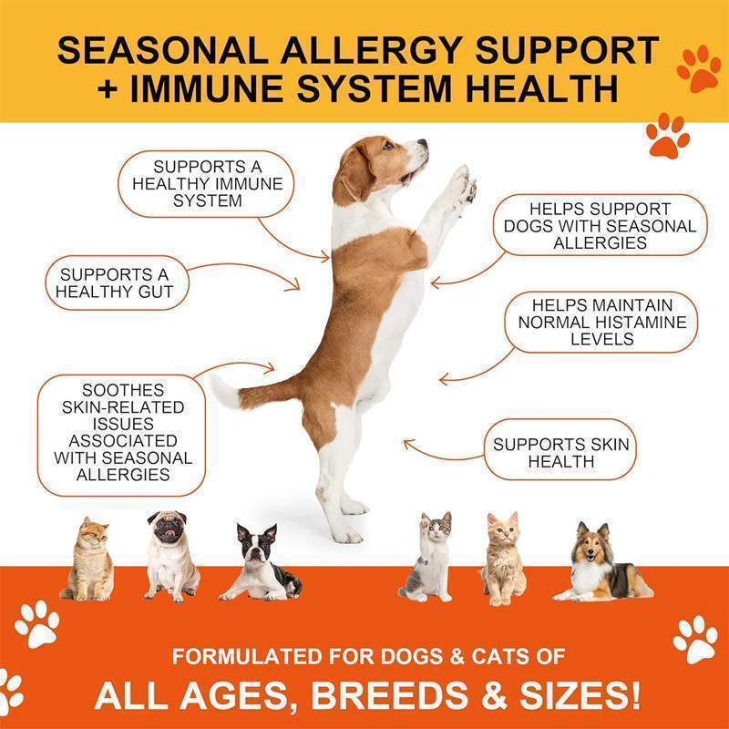 Joint Supplements For Dogs And Cats With Glucosamine, Chondroitin, 10 Vitamins, Hyaluronic Acid And MSM - Image 9