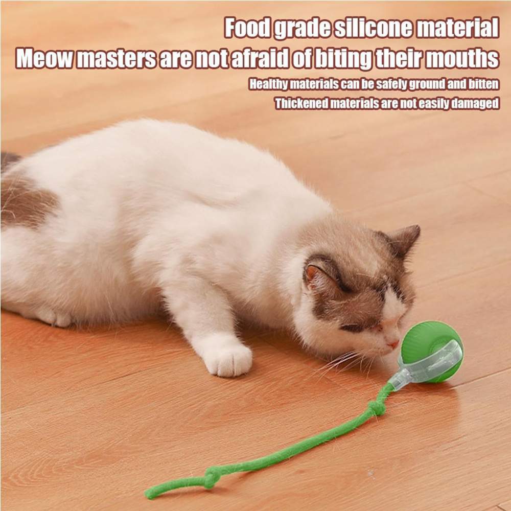 Interactive Rolling Cat Ball - Image 4