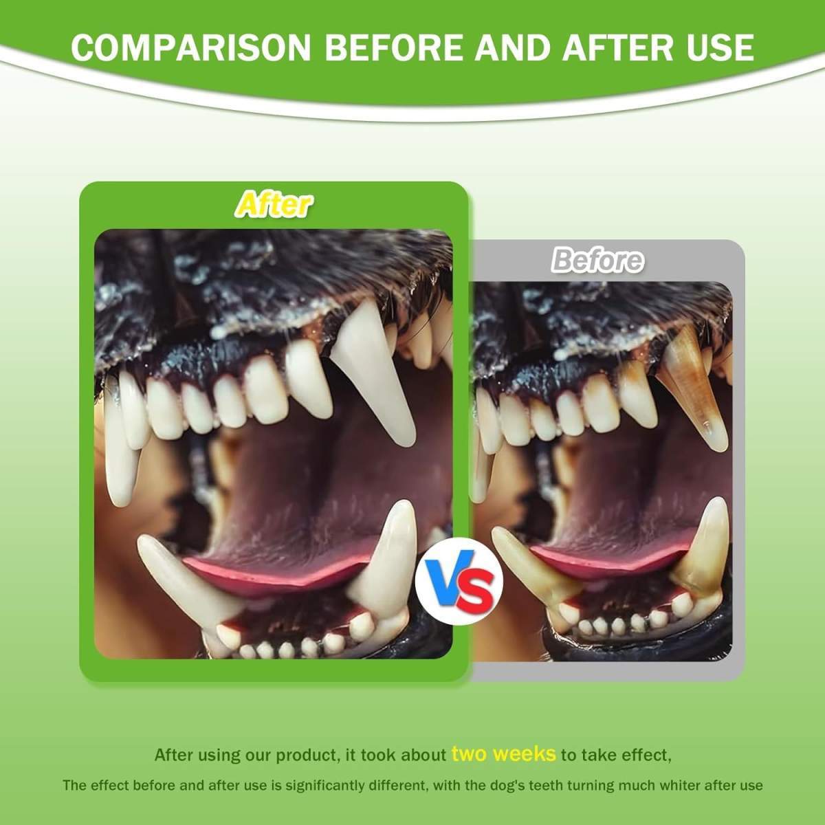 Pet Dental Powder - Freshens Breath, Protects Gums And Strengthens Teeth. An Essential For Daily Oral Care And General Dental Care. - Image 10