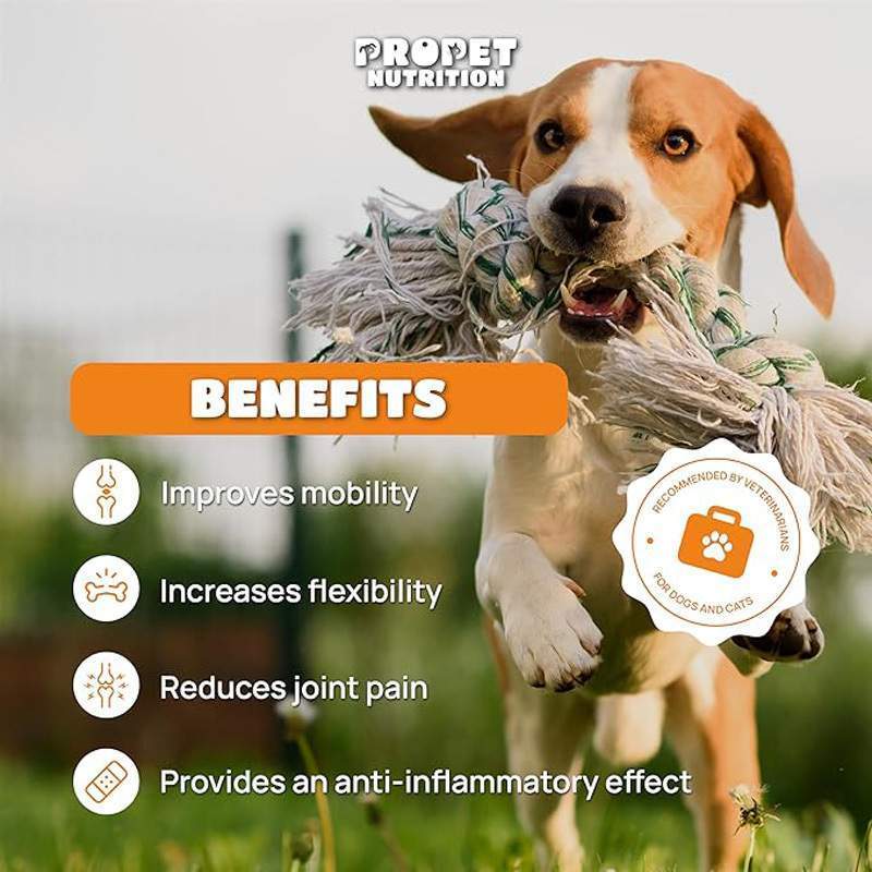 Joint Supplements For Dogs And Cats With Glucosamine, Chondroitin, 10 Vitamins, Hyaluronic Acid And MSM - Image 2