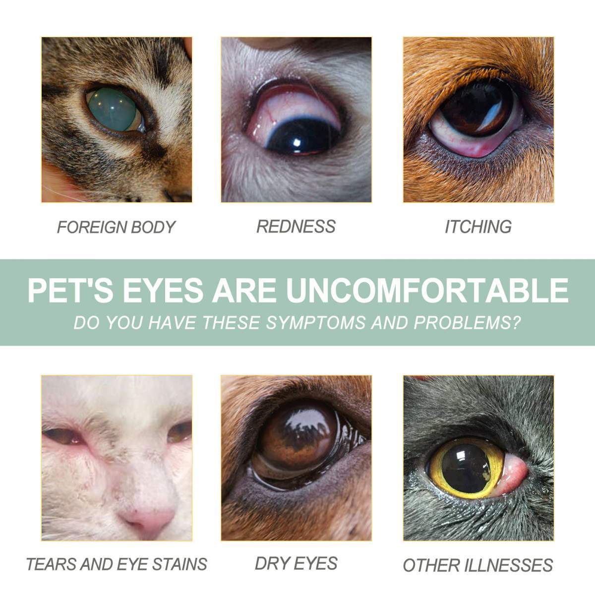 Pet Eye Drops For Dogs & Cats, Gentle Eye Cleaner With Honeysuckle Oil & Blueberry Extract, Soothes Irritation, Tear Stain Remover For Pet Daily Eye Care - Image 10