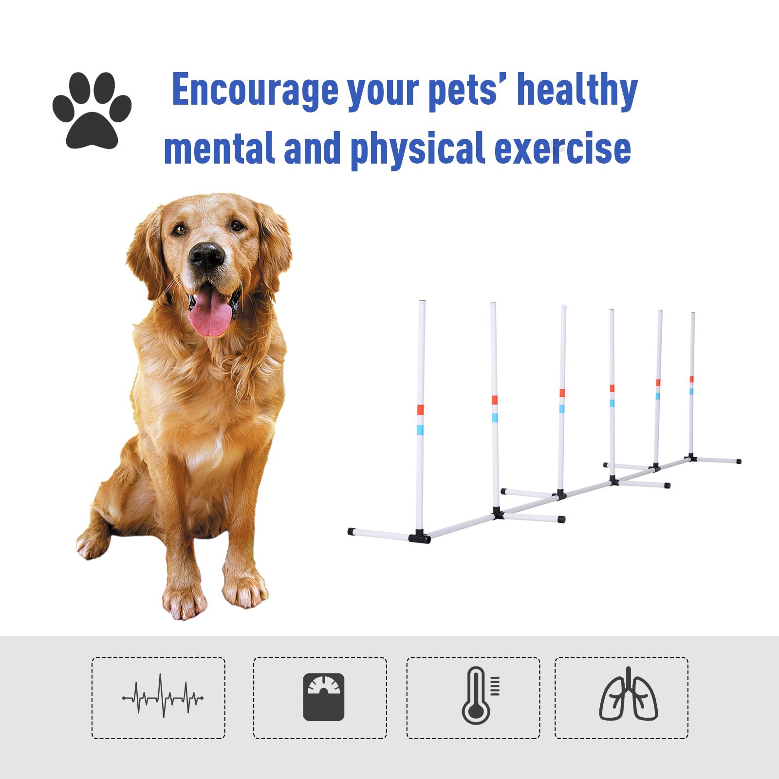 Sturdy Dog Weaves Poles Pet Speed and Agility Equipment Dogs Obstacle Outdoor w/ Storage Bag - Image 2
