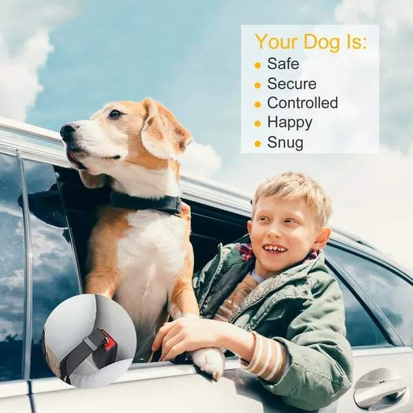 2Pcs Pet Dog Seat Belt Leash Adjustable Pet Dog Cat Safety Leads Harness - Image 5