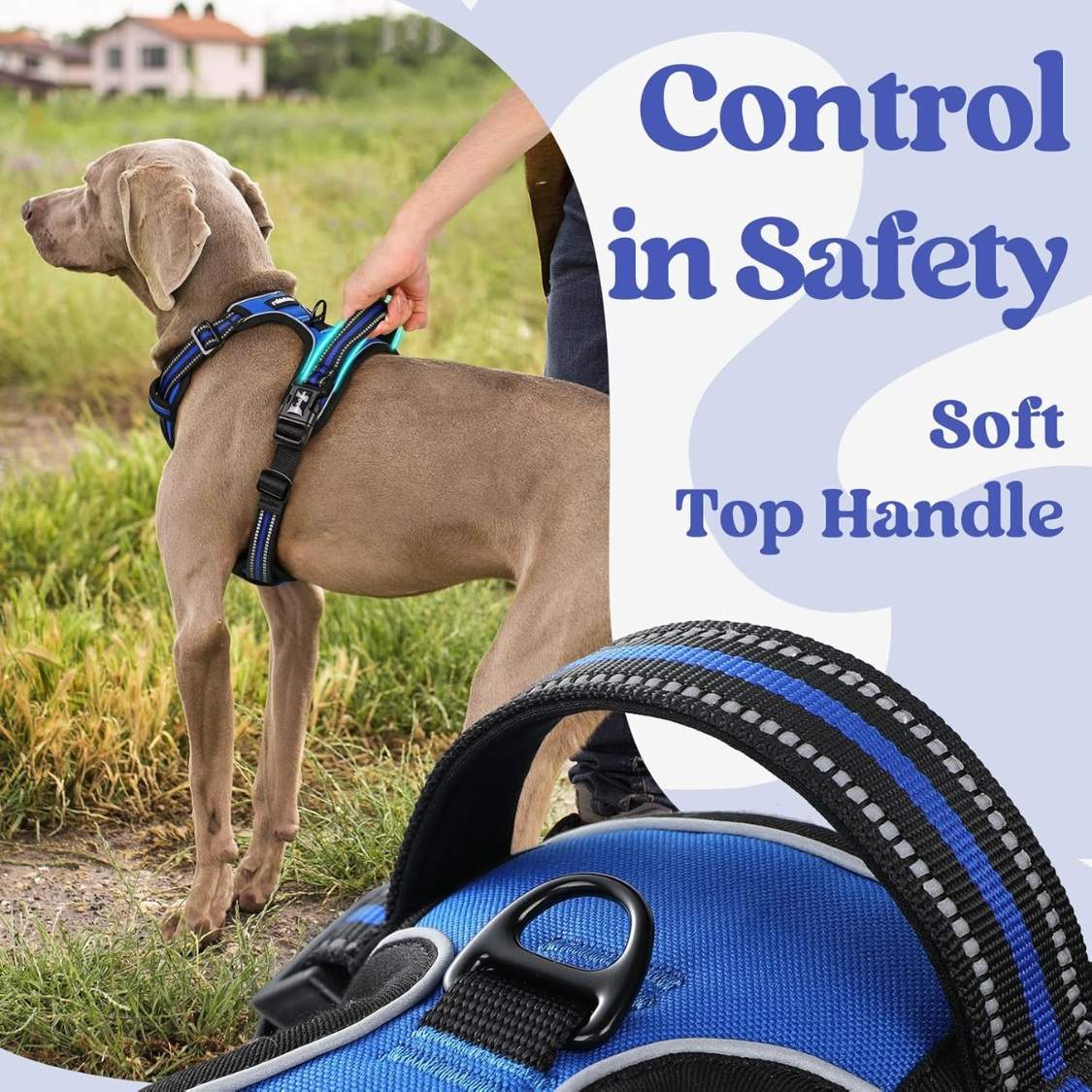 Dog Harness For Large, No Pull Easy On & Off With 3 Buckles Pet Harness, Adjustable Soft Walking Vest With 2 Clips And Handle, Reflective For Large Dogs, Blue, L - Image 5