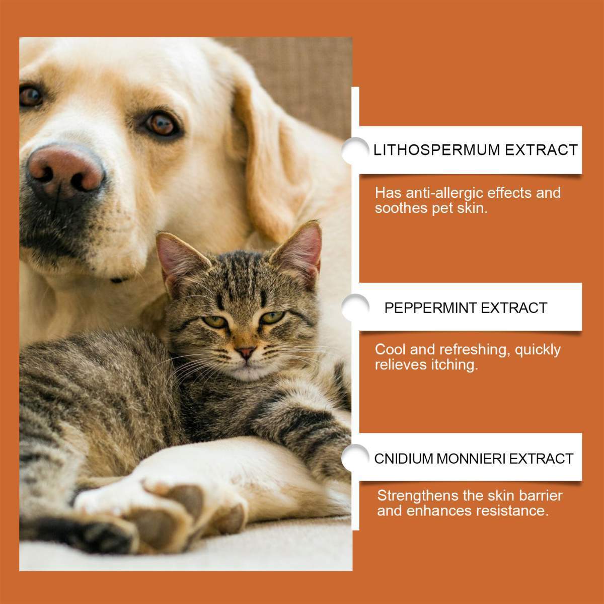 Pet Itch & Allergy Relief Cream, Soothing Skin For Dogs & Cats, Natural Herbal Extracts For Itch, Bites & Irritated Skin, 50g - Image 7
