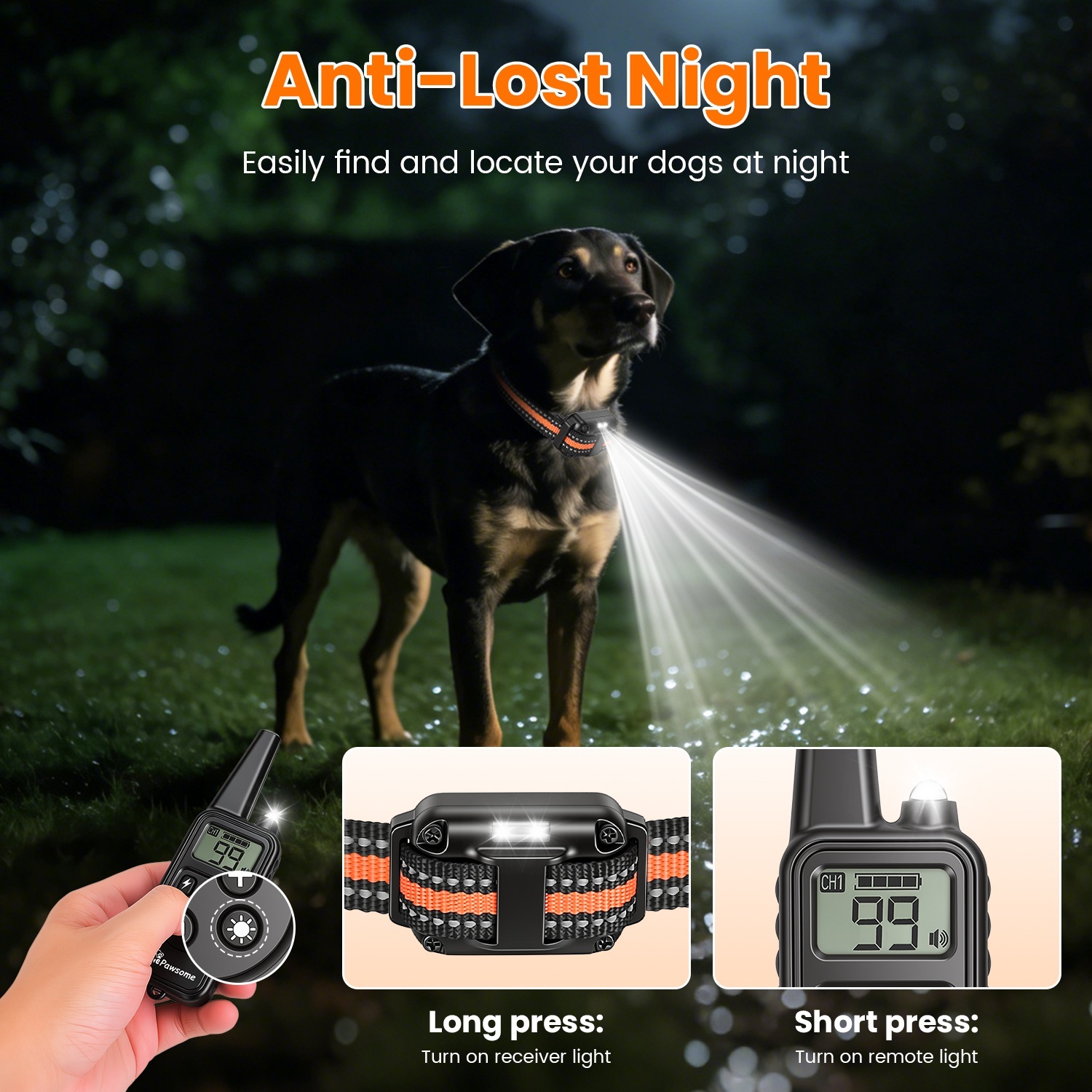 Dog Training Collar With Remote - Image 4