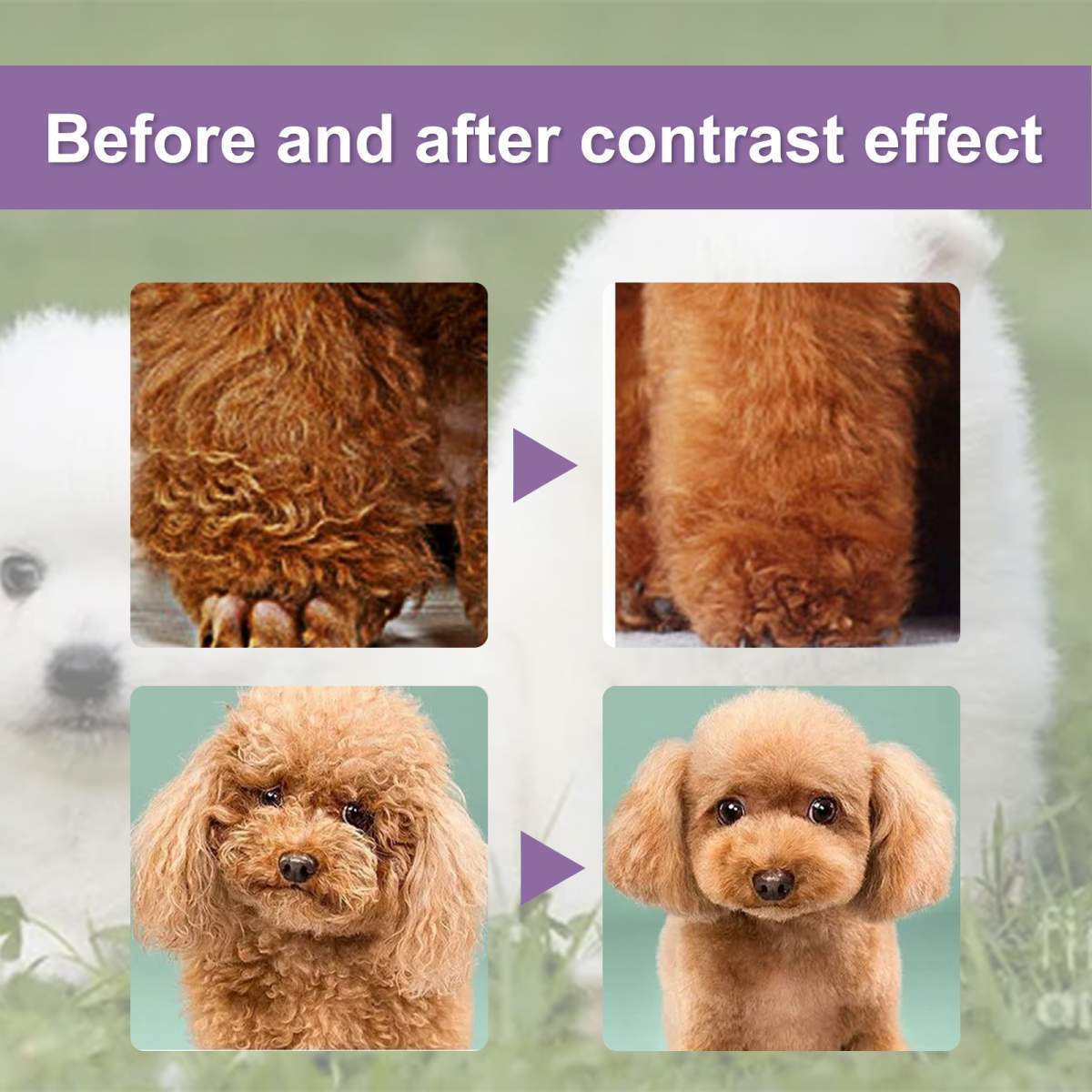 Pet Hair Conditioner For Dogs Cats, Moisturizing Detangling Pet Coat Conditioner, Anti Static, Softens & Brightens Fur, Long Lasting Fragrance, 50ml - Image 3