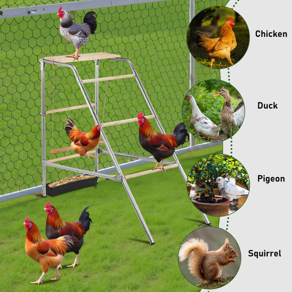 103x50x100cm Outdoor Chicken Perch - Image 8