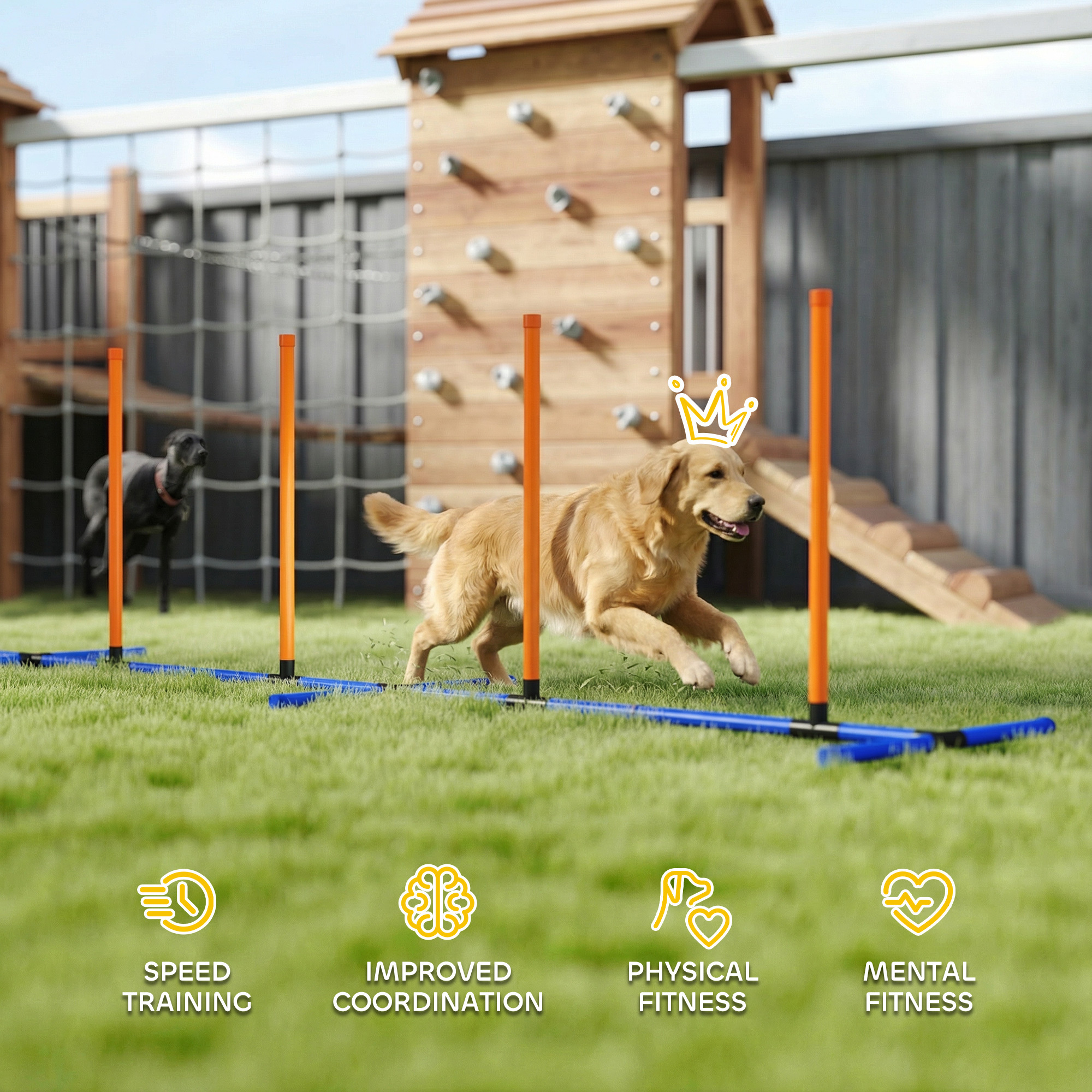 Dog Agility Training Equipment Adjustable Poles for Dog Agility Course with Carry Bag - Image 8