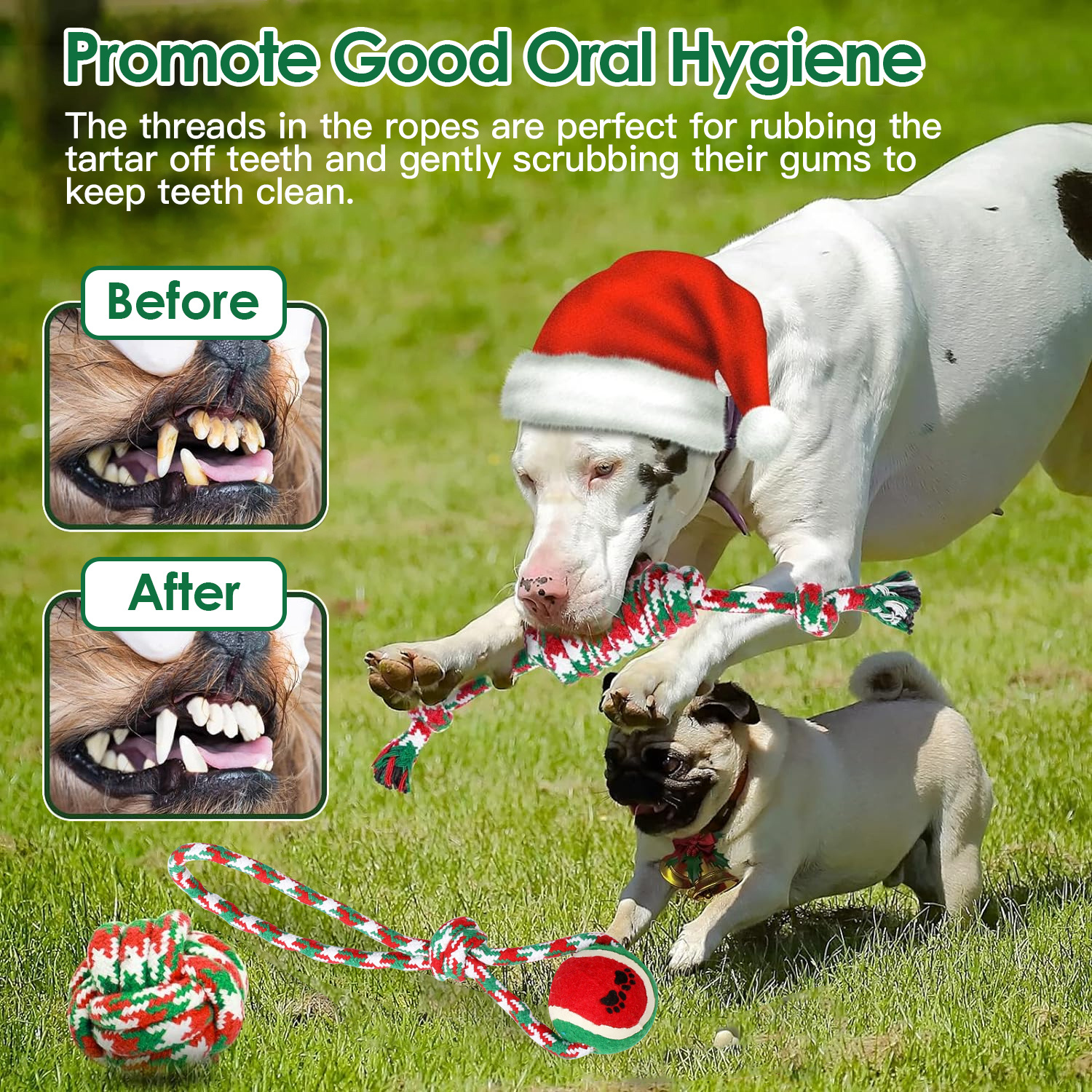 Set Of 5Pcs Christmas Dog Rope Chew Toys Dog Interactive Toys Set For Puppy Small Medium Aggressive Chewers Dogs Training Teething Playing - Image 6