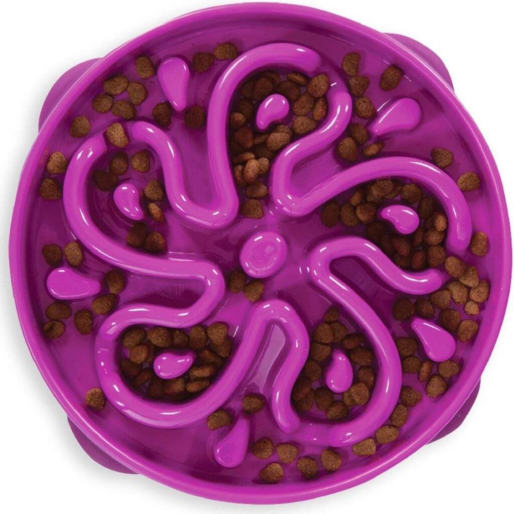 Hound Feeder Slow Bowl Large 4 Cup Capacity, Slow Feeding, Medium To Large Dogs, Non Slip, Purple, Flower Pattern