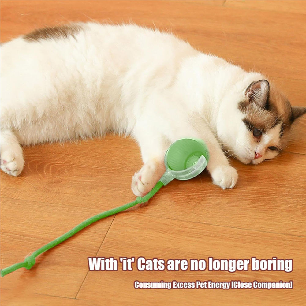Electric Dog Cat Ball Toy,Indoor Large And Small Cat Dog Interactive Intelligent Rolling Pet Ball - Image 5