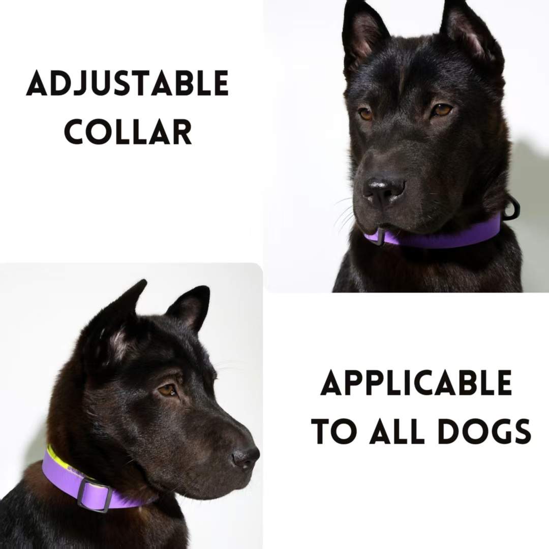 Honeycomb Embossed Dual-Color Pet Leash Set Is Stylish And Fashionable. The Embossed Surface Enhances The Leash's Grip, Preventing Slippage When Held. The Product Is Waterproof, Wear-resistant, Odor-r - Image 8