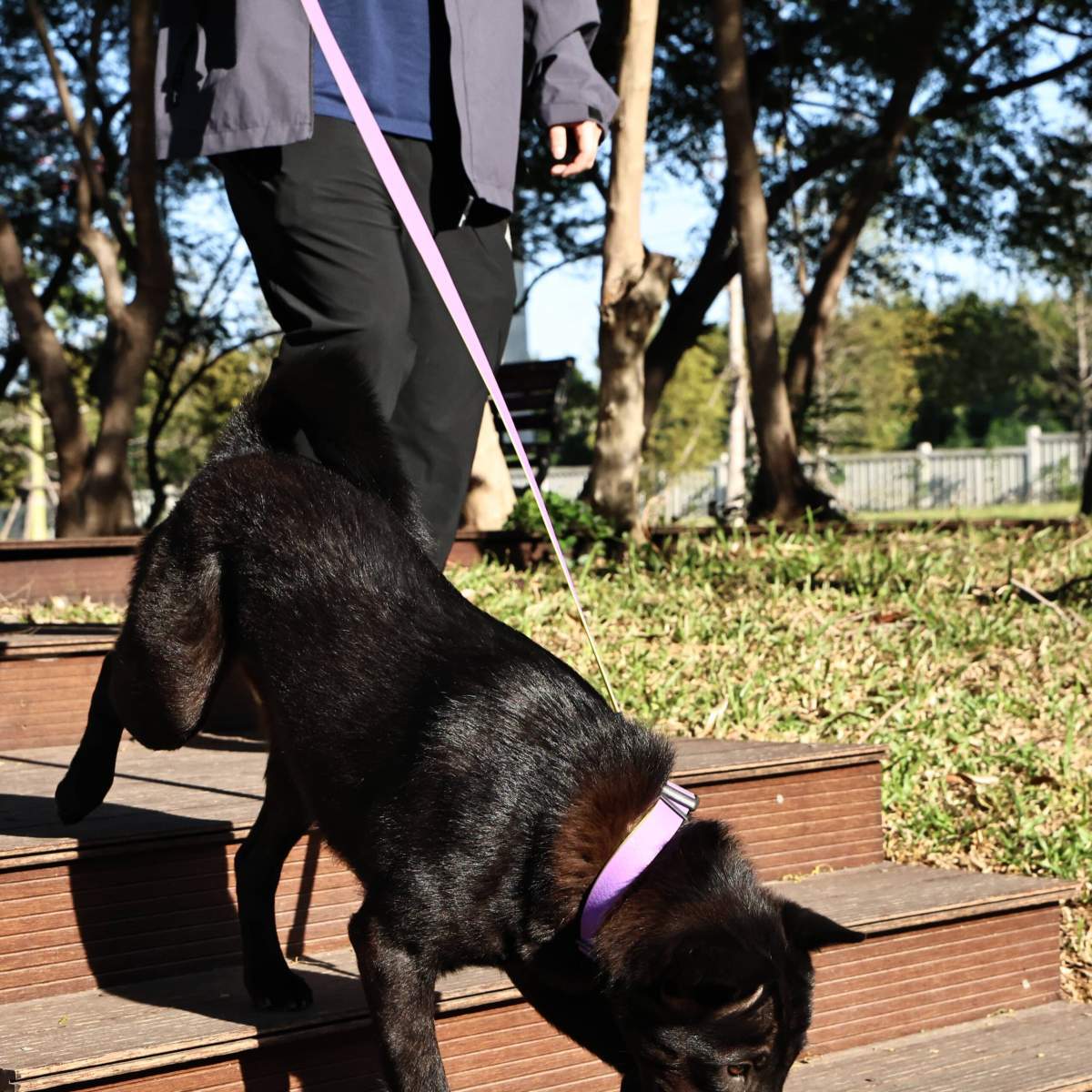 Honeycomb Embossed Dual-Color Pet Leash Set Is Stylish And Fashionable. The Embossed Surface Enhances The Leash's Grip, Preventing Slippage When Held. The Product Is Waterproof, Wear-resistant, Odor-r - Image 2