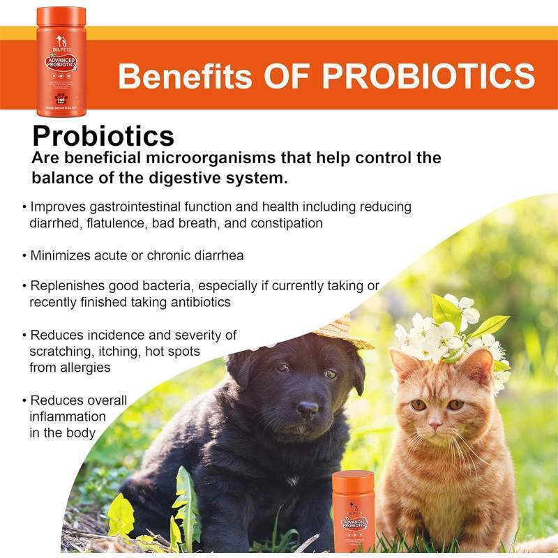 Joint Supplements For Dogs And Cats With Glucosamine, Chondroitin, 10 Vitamins, Hyaluronic Acid And MSM - Image 10
